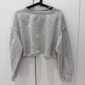 Zara Cropped Gray Sweatshirt